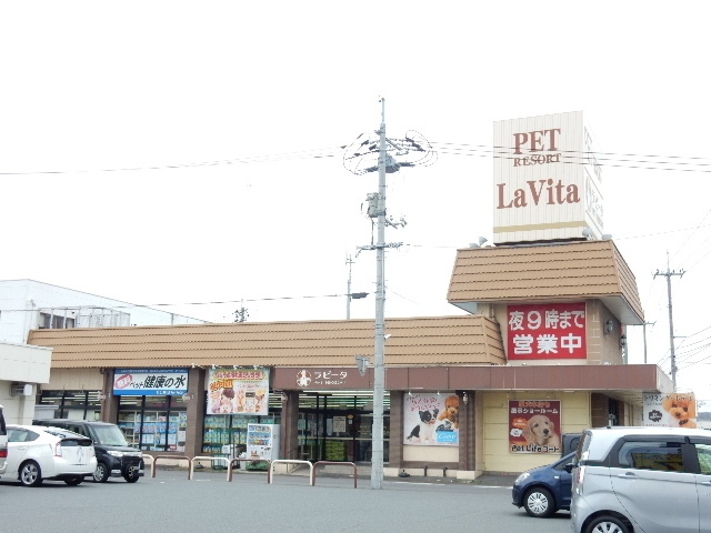 その他　ラビータ（その他）まで463m