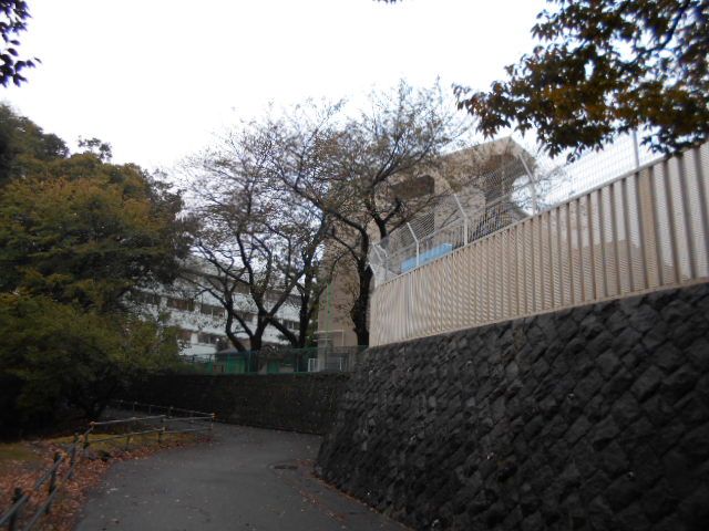 小学校　厚木市立戸室小学校（小学校）まで822m