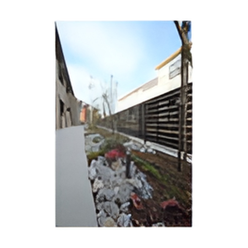 庭