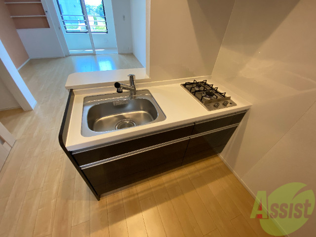 キッチン　キッチンはシックなデザインでした。洗い場も大きい。