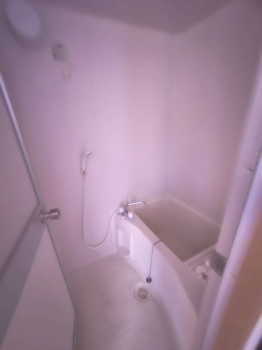 たんぽぽ館の風呂写真