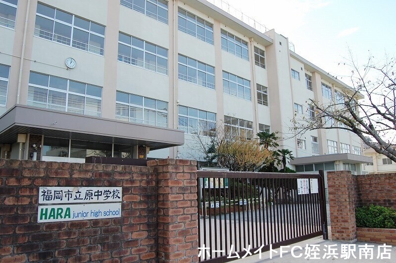 中学校　原中学校（中学校）まで501m