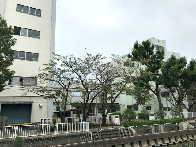 小学校　八潮市立松之木小学校（小学校）まで302m