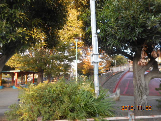 公園　寿公園（公園）まで141m