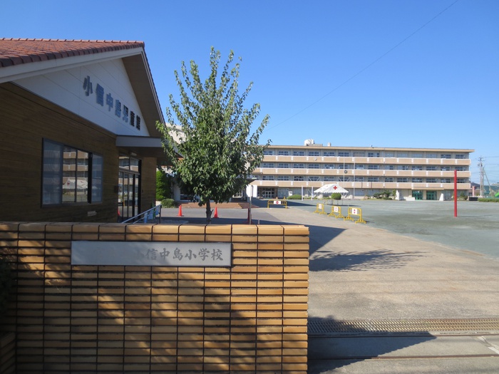 小学校　一宮市立小信中島小学校（小学校）まで700m