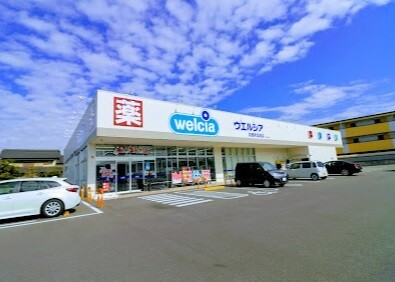 ドラックストア　ウエルシア武豊町富貴店（ドラッグストア）まで755m