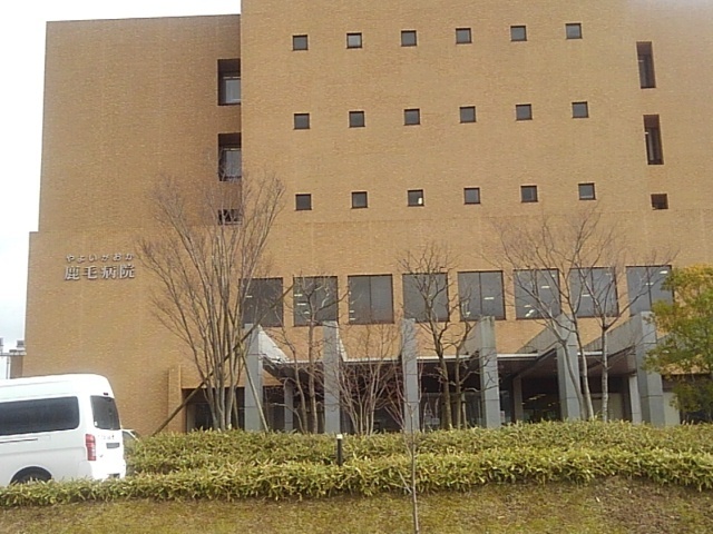 病院　やよいがおか鹿毛病院（病院）まで490m