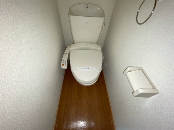 トイレ　※別号室の写真です