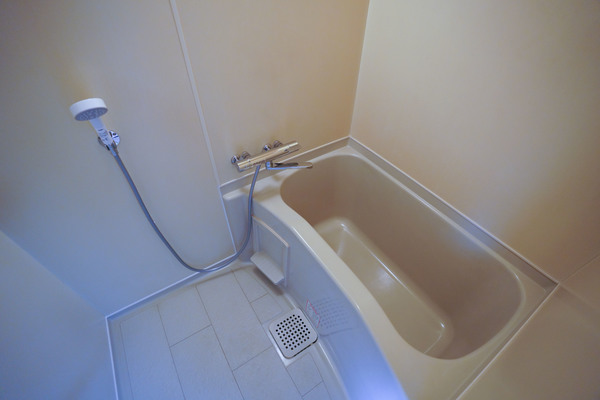 バス・シャワールーム　同じ建物の別の部屋