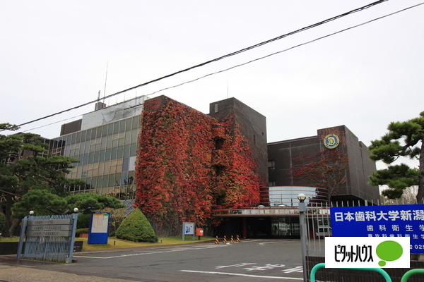病院　日本歯科大学新潟病院（病院）まで1215m