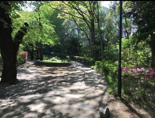 公園　大塚窪町公園（公園）まで1278m