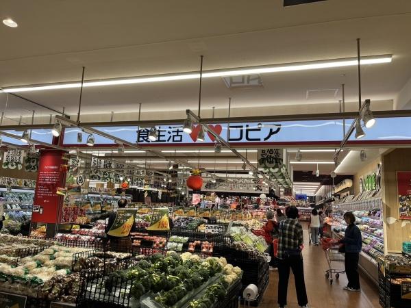 スーパー　ロピア（スーパー）まで1364m