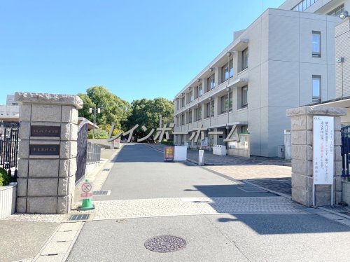 大学・短大　千葉商科大学（市川キャンパス）（大学・短大）まで4086m