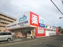 ドラックストア　ウエルシア府中天神店（ドラッグストア）まで800m