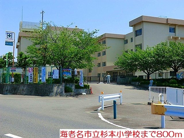 小学校　杉本小学校（小学校）まで800m