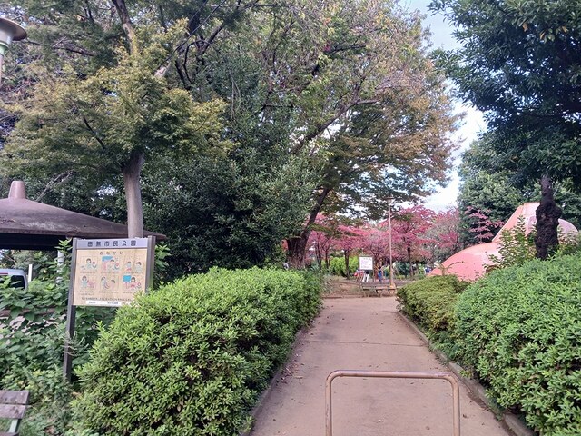 公園　田無市民公園（公園）まで177m