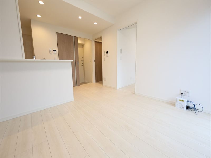 その他　ＬＤＫ11帖　洋室5帖と繋げても仕切っても使えます