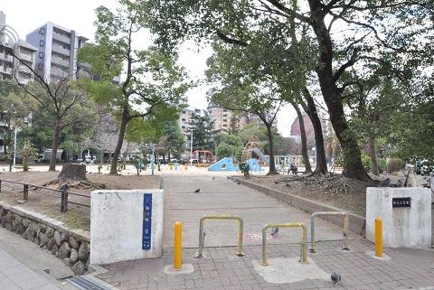 公園　南大江公園（公園）まで504m