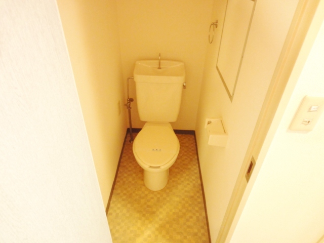トイレ　同物件別号室のものです。