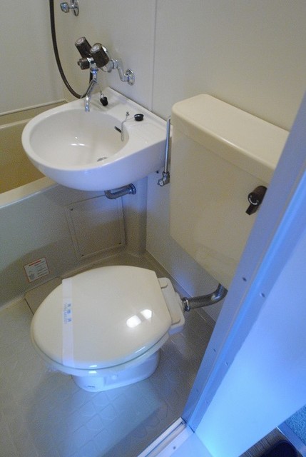 トイレ　写真は３０３号室