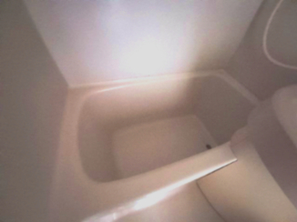 バス・シャワールーム　落ち着いた空間のお風呂です