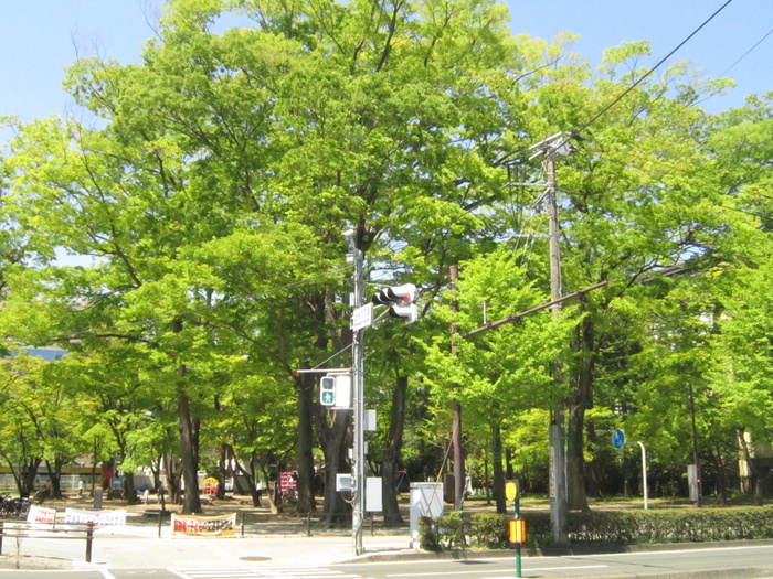 公園　勝山公園（公園）まで350m