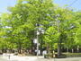 公園　勝山公園（公園）まで350m