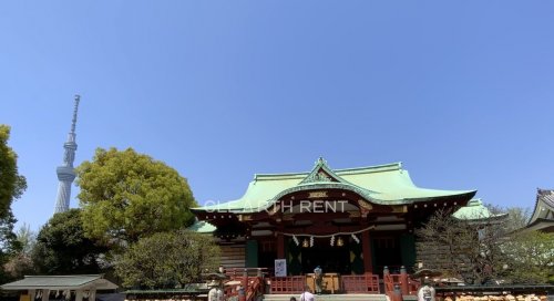 その他　亀戸天神社（その他）まで601m