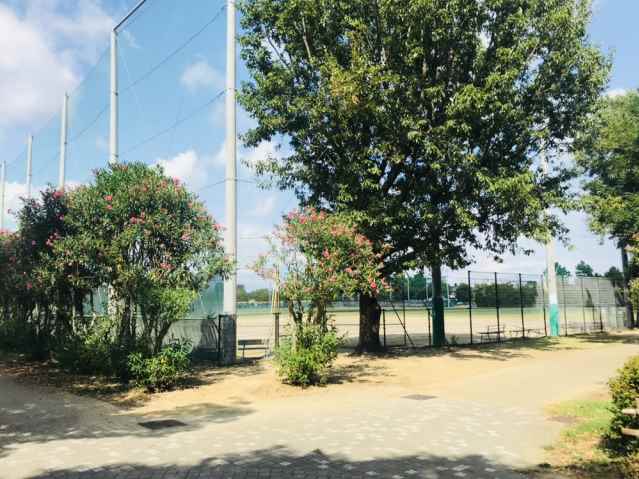 その他　和地山公園（その他）まで540m