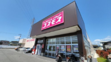 ドラックストア　ディスカウントドラッグコスモス 高知神田店（ドラッグストア）まで723m