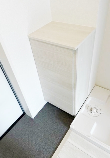 玄関　同仕様参考写真