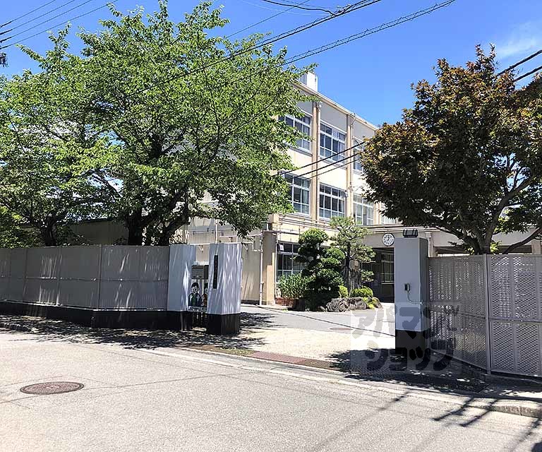 中学校　樫原中学校（中学校）まで800m