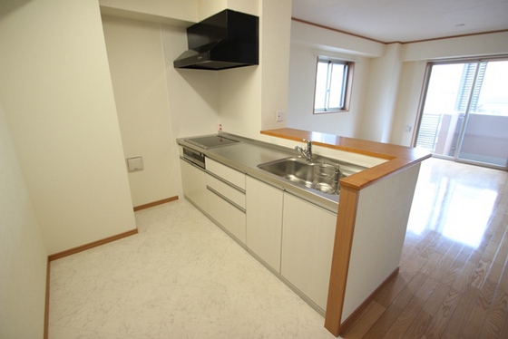 キッチン　※別部屋の写真です