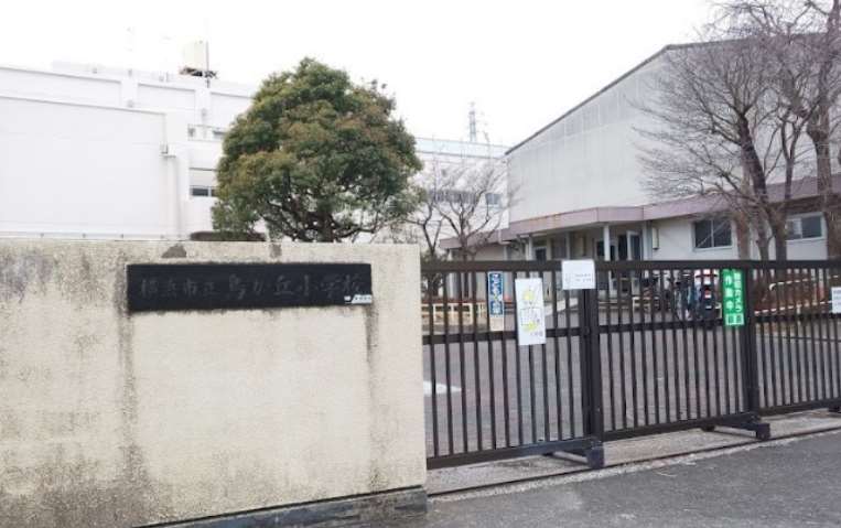 小学校　横浜市立鳥が丘小学校（小学校）まで823m