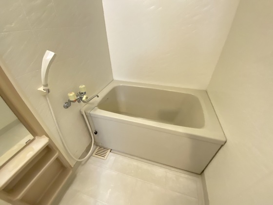 バス・シャワールーム　※別号室のお写真です