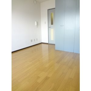 その他部屋・スペース　収納付でお部屋を広くお使い頂けます（同建物別室の画像です）