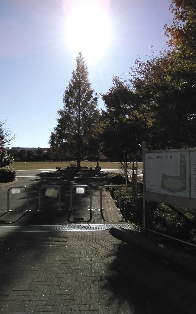 公園　杉並区立桃井原っぱ公園（公園）まで701m