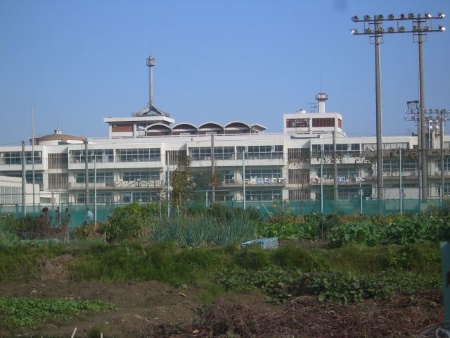 小学校　町立大治小学校（小学校）まで506m