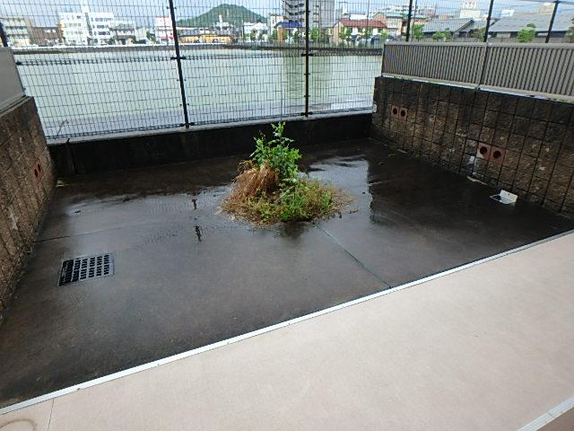 庭