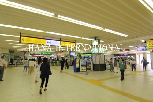 その他　市川駅（その他）まで800m