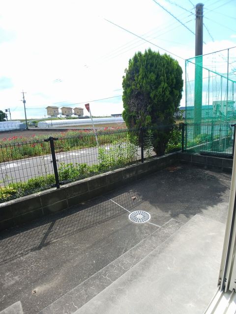 庭