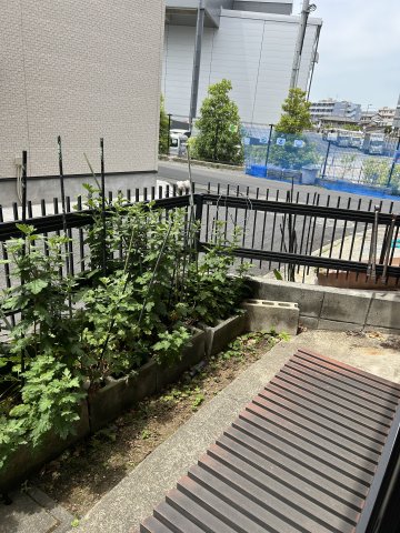 庭