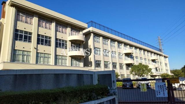 小学校　八王子市立秋葉台小学校（小学校）まで517m