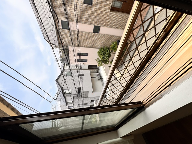 庭