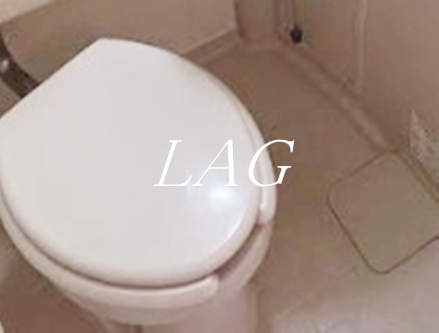 トイレ　トイレです。（別部屋参考写真です。）
