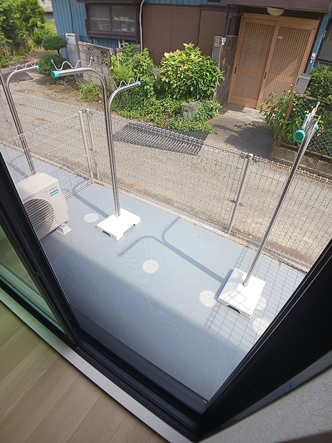 庭