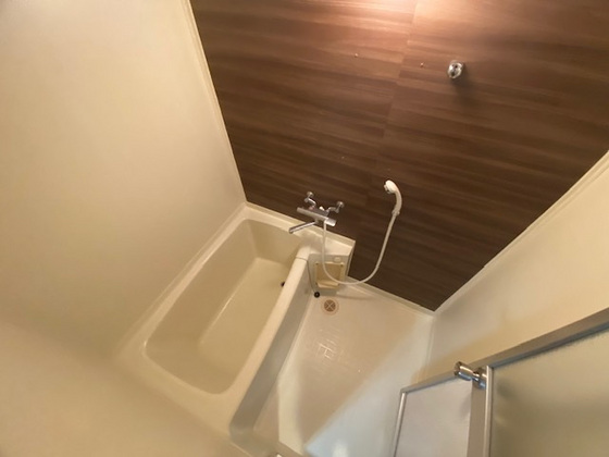 バス・シャワールーム　※別部屋の写真です