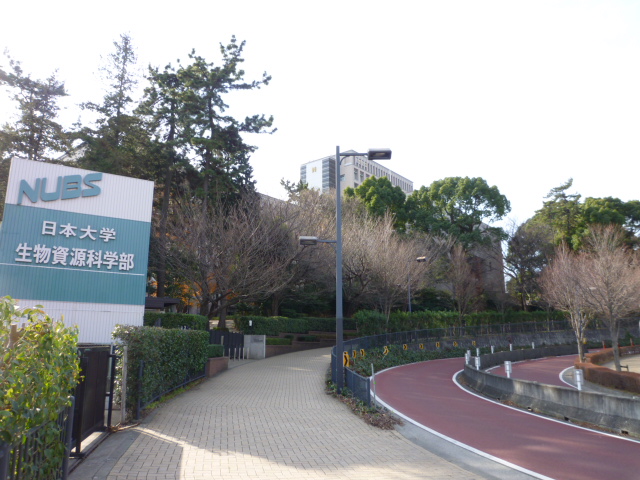 大学・短大　私立日本大学生物資源科学部（大学・短大）まで1048m