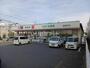 ドラックストア　ドラッグセイムス柏根戸店（ドラッグストア）まで641m