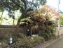 公園　楽水園（公園）まで627m